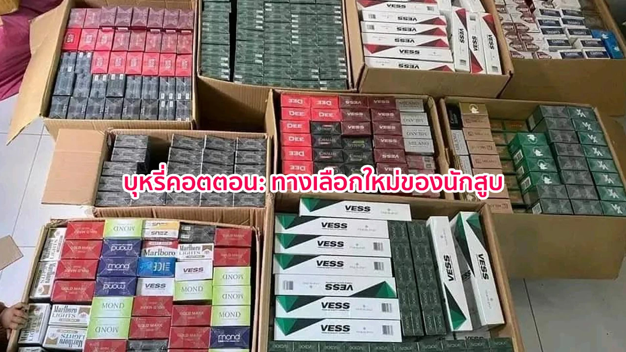 บุหรี่คอตตอน: ทางเลือกใหม่ของนักสูบ